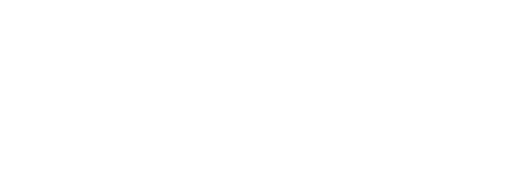 Logo agencia seo venezuela blanco sin fondo